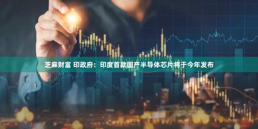 芝麻财富 印政府：印度首款国产半导体芯片将于今年发布