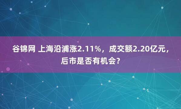 谷锦网 上海沿浦涨2.11%，成交额2.20亿元，后市是否有机会？