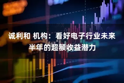 诚利和 机构：看好电子行业未来半年的超额收益潜力